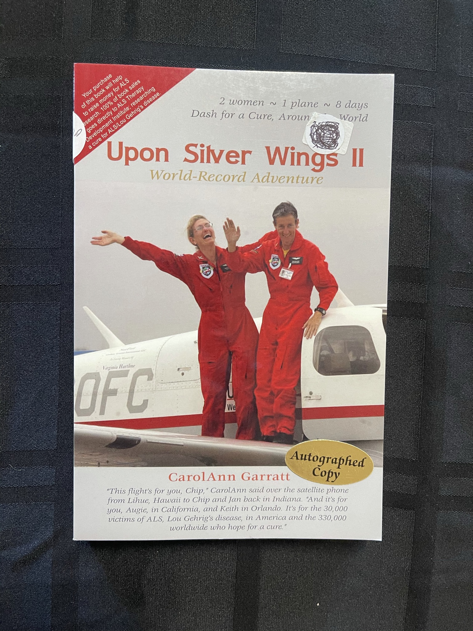 Featured image for “Upon Silver Wings II”